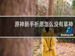 原神新手祈愿怎么没有草神