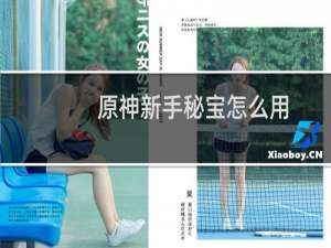 原神新手秘宝怎么用