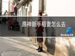 原神新手稻妻怎么去