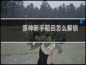 原神新手稻田怎么解锁