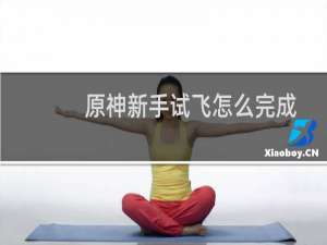 原神新手试飞怎么完成