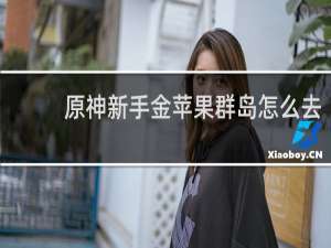 原神新手金苹果群岛怎么去