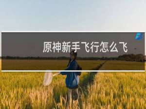 原神新手飞行怎么飞