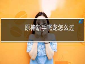 原神新手飞龙怎么过