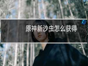 原神新沙虫怎么获得