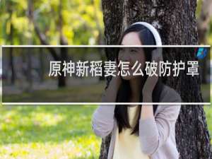 原神新稻妻怎么破防护罩