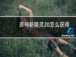 原神新精灵 怎么获得
