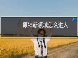 原神新领域怎么进入