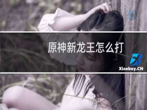 原神新龙王怎么打
