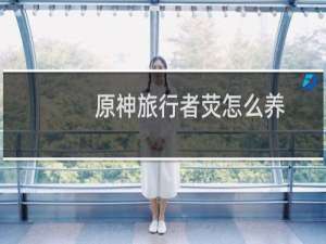 原神旅行者荧怎么养