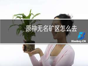 原神无名矿区怎么去