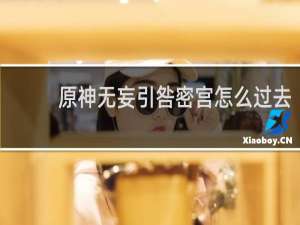 原神无妄引咎密宫怎么过去