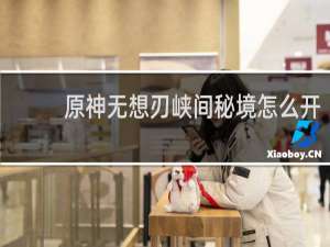 原神无想刃峡间秘境怎么开