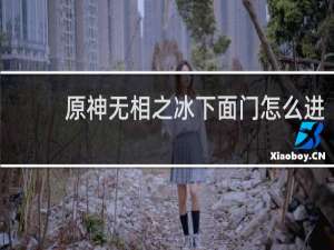 原神无相之冰下面门怎么进
