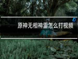 原神无相神雷怎么打视频
