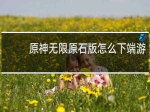 原神无限原石版怎么下端游