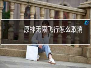 原神无限飞行怎么取消