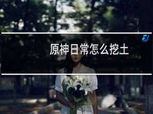 原神日常怎么挖土