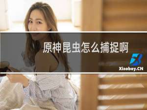 原神昆虫怎么捕捉啊