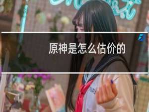 原神是怎么估价的