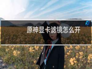 原神显卡滤镜怎么开