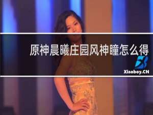 原神晨曦庄园风神瞳怎么得