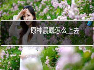 原神晨曦怎么上去