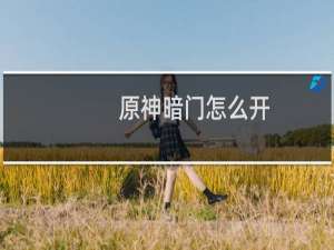 原神暗门怎么开