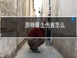 原神暴击伤害怎么