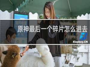 原神最后一个碎片怎么进去