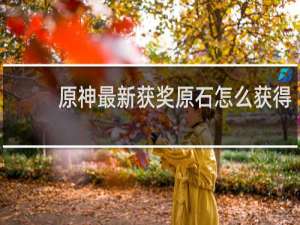 原神最新获奖原石怎么获得