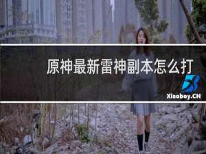 原神最新雷神副本怎么打