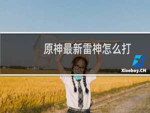 原神最新雷神怎么打