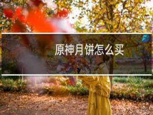 原神月饼怎么买
