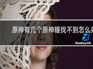 原神有几个原神瞳找不到怎么办