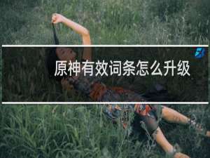 原神有效词条怎么升级