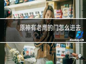 原神有老鹰的门怎么进去