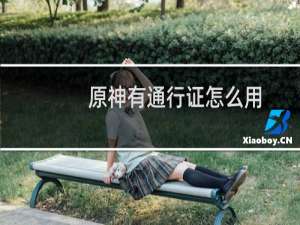 原神有通行证怎么用
