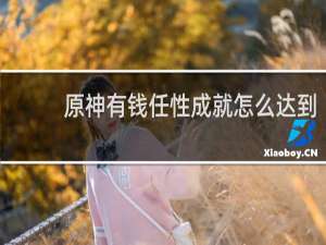原神有钱任性成就怎么达到