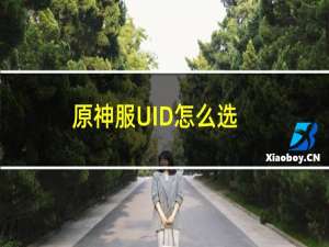 原神服UID怎么选