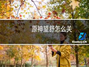 原神望舒怎么关
