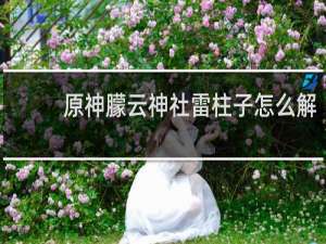 原神朦云神社雷柱子怎么解