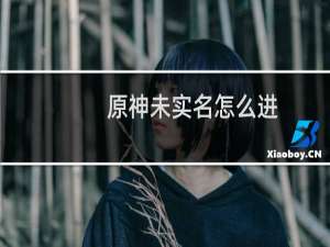 原神未实名怎么进