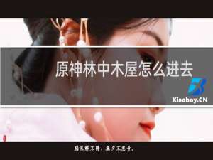 原神林中木屋怎么进去