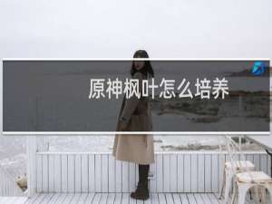 原神枫叶怎么培养