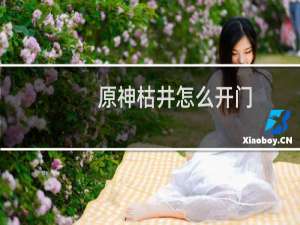 原神枯井怎么开门