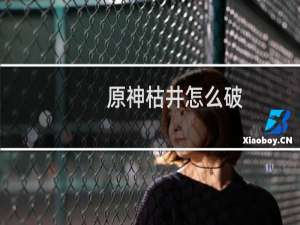 原神枯井怎么破