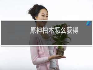 原神柏木怎么获得