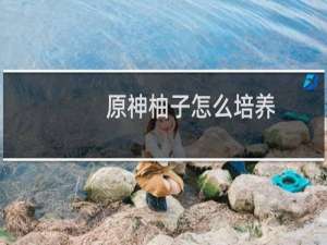 原神柚子怎么培养