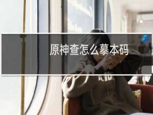 原神查怎么摹本码